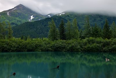AK - Tangle Pond Near Whittier.jpg