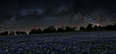 TX - Muleshoe Bend Milkyway Panoramic.jpg