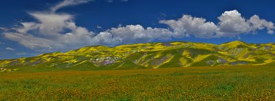 CA - Carrizo Plain Painted Hills Panoramic.jpg