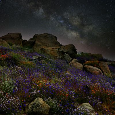 CA - Hemet Wildflower Hills Milkyway.jpg