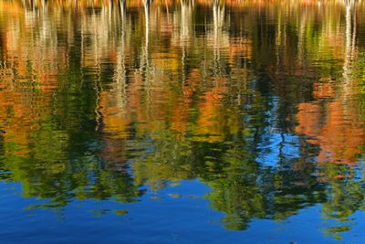 TX - Caddo Lake Big Cypress Bayou River Reflection.jpg