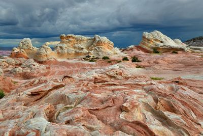AZ - White Pockets Fin Rock 1.jpg
