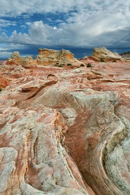 AZ - White Pockets Fin Rock 2.jpg