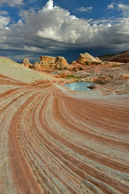 AZ - White Pockets Layers 1.jpg