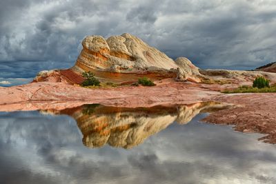 AZ - White Pockets Reflection 1.jpg