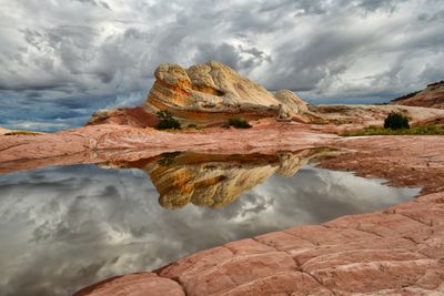 AZ - White Pockets Reflection 2.jpg