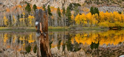 CA - Grant Lake Reflection Fall Panoramic.jpg