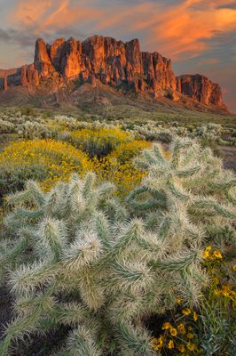 AZ - Superstitions Lost Dutchman 1.jpg