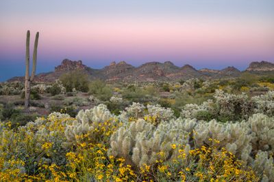 AZ - Superstitions Lost Dutchman 2.jpg