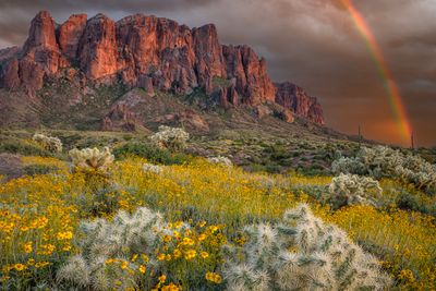 AZ - Superstitions Lost Dutchman 3.jpg