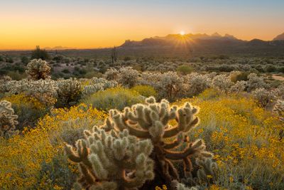 AZ - Superstitions Lost Dutchman 4.jpg