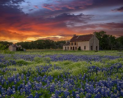 TX - Bluebonnet House 2.jpg