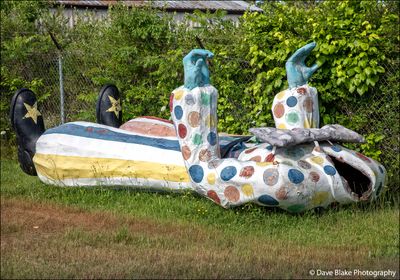 832177 Clown MM Dallas GA 2022