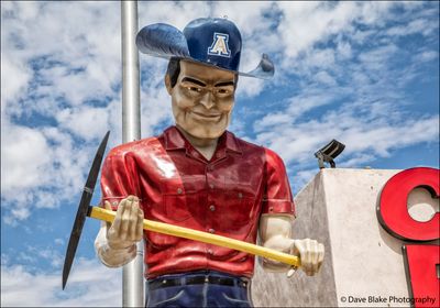 834291 Big Ed MM Tucson AZ 2022