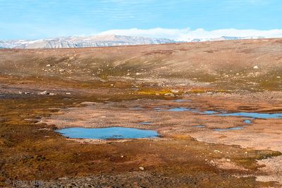 Tundra lake - Toendrameer