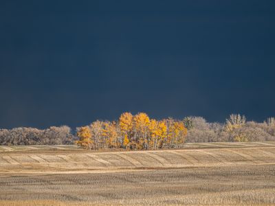 A magical day with incredible light for late fall colours