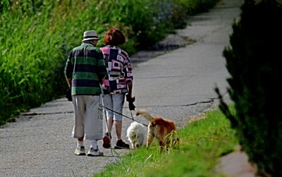 walk on the avenue of the dogs  DSC_3505x02082023pb