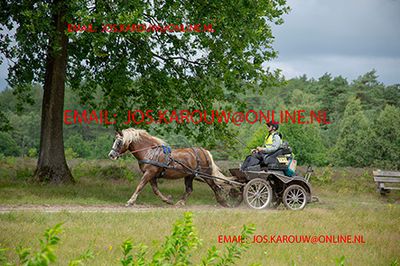 g13/40/233640/3/175625765.c9acacb9.JPEG