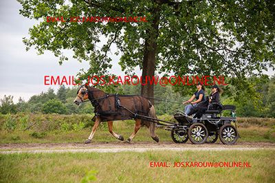 g13/40/233640/3/175626334.ab9da83f.JPEG