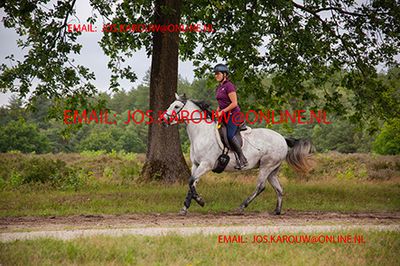g13/40/233640/3/175626385.860143bf.JPEG