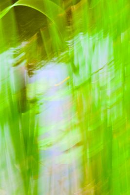g13/40/417440/3/173895977.a406e1e4.JPEG