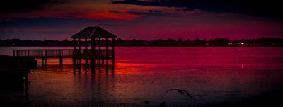 IMG_0736.jpg