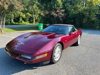 93 vette