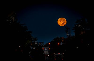 IMG_1925.jpg