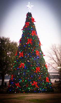 IMG_2210.jpg