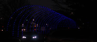 IMG_2226.jpg