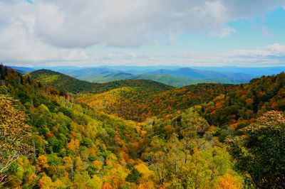 Rolling Hills