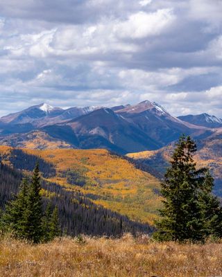 Colorado Fall Foliage 2023