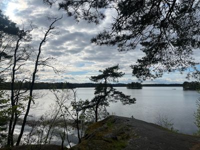 A Picture A Day
