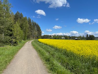 A Picture A Day