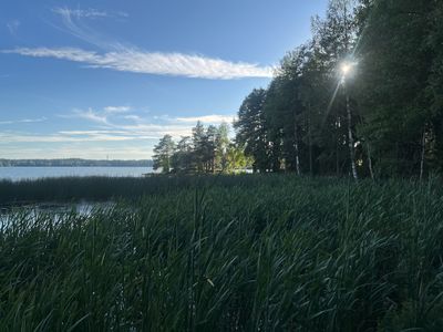 A Picture A Day