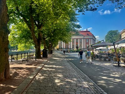 A Picture A Day