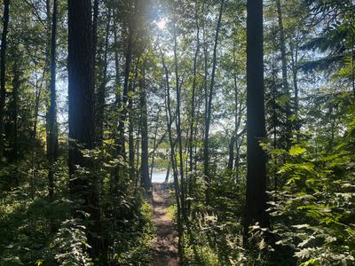 A Picture A Day