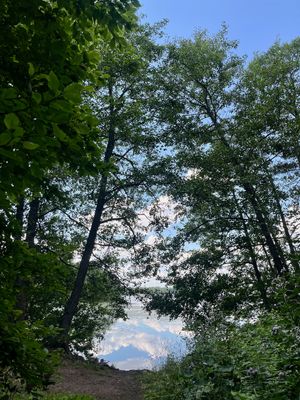 A Picture A Day