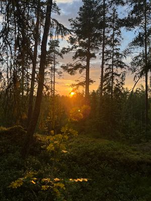A Picture A Day