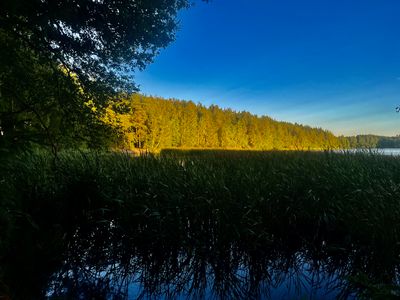 A Picture A Day