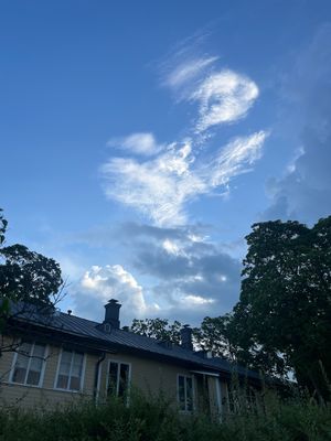 A Picture A Day