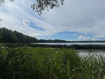 A Picture A Day