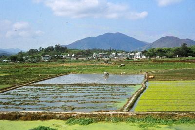 China 1978 056