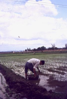 China 1978 176
