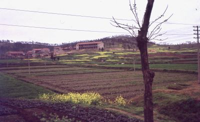 China 1978 261