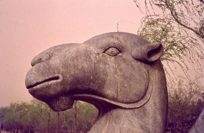 China 1978 320