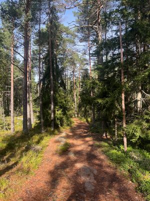 A Picture A Day