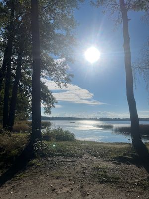 A Picture A Day