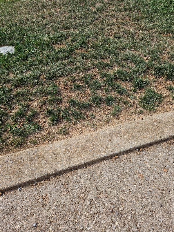 20240922_155851.jpg