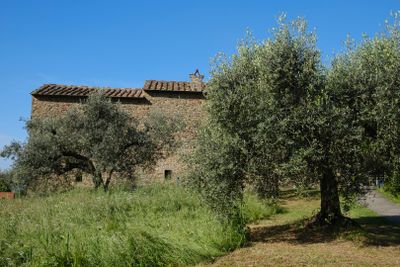 Suposta casa onde nasceu Leonardo